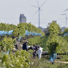 ABD0018-20140825.jpg