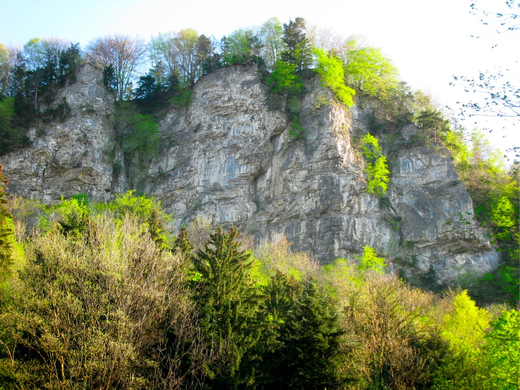 BK_stadtschrofen_jpg-1272491317