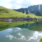 13_ LWT_ Laterns am 21_ Aug_ 2014 _18_.JPG