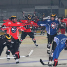 17 - Kopie - Kopie - Kopie.jpg