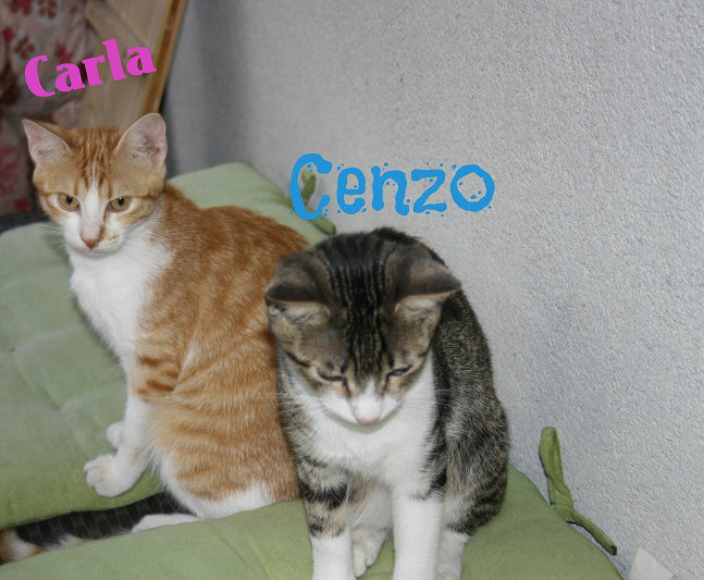 carla und cenzo 2.jpg