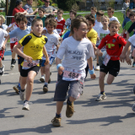 Lustenauer Meile 2010 110_jpg-1272526127