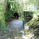 Vorarlberg von Unten - Hochwasserschutz in Rankweil