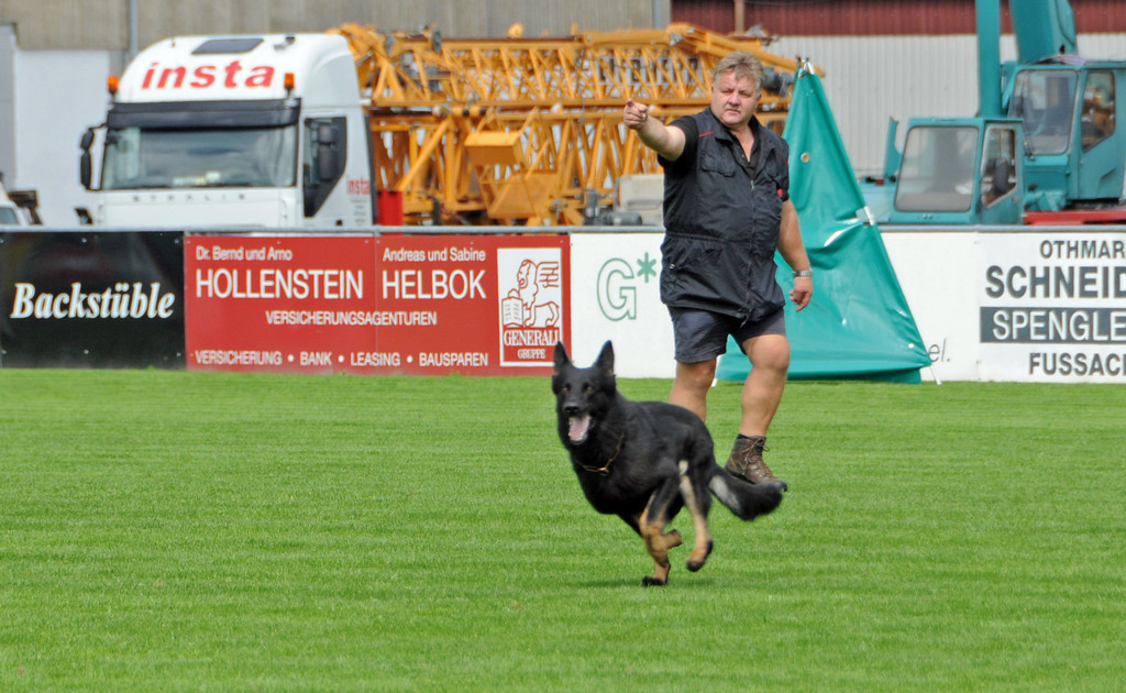 Scha__ferhunde 29-08-2014 19.jpg