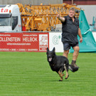Deutsche Schäferhunde in der Sportanlage Müß