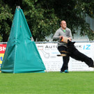 Scha__ferhunde 29-08-2014 23.jpg