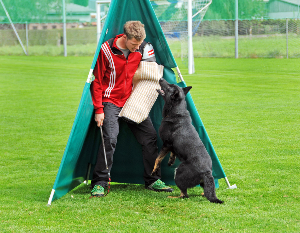Scha__ferhunde 29-08-2014 26.jpg