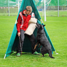 Scha__ferhunde 29-08-2014 26.jpg