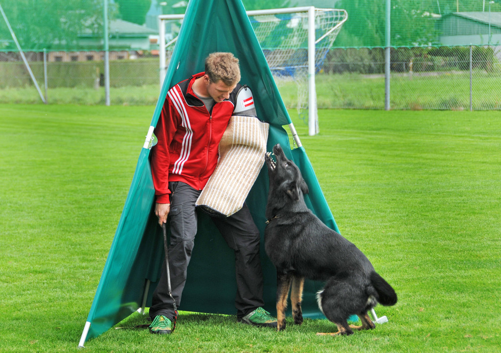 Scha__ferhunde 29-08-2014 28.jpg