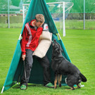 Scha__ferhunde 29-08-2014 28.jpg