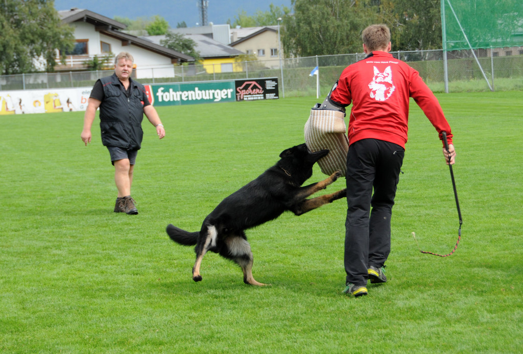 Scha__ferhunde 29-08-2014 34.jpg