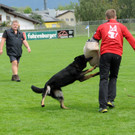 Scha__ferhunde 29-08-2014 34.jpg