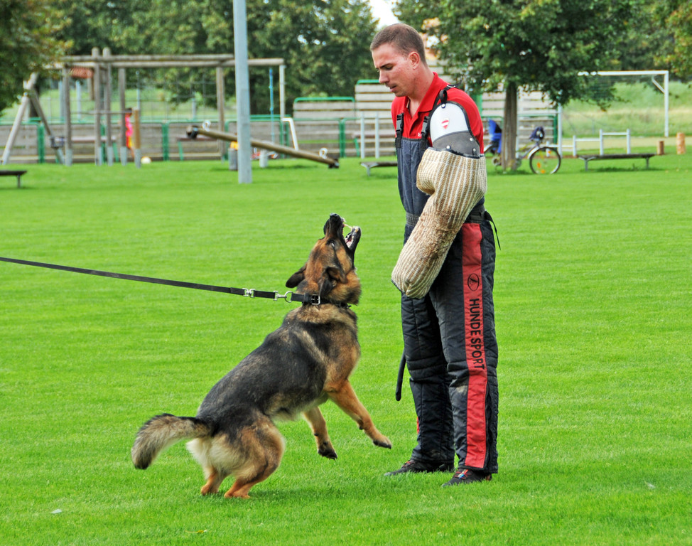 Scha__ferhunde 29-08-2014 37.jpg