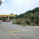IMGP2700.JPG