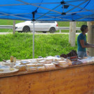 IMG_2957.jpg