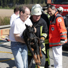 normal_29042010vub15fibaktivnews_20_12_.jpg