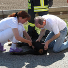 normal_29042010vub15fibaktivnews_20_3_.jpg