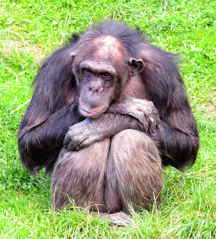 BK_Walter Zoo Gossau 9.jpg