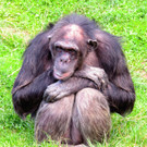 Impressionen aus dem Zoo