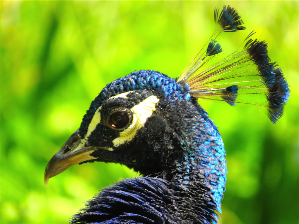 BK_Walter Zoo Gossau 60.JPG