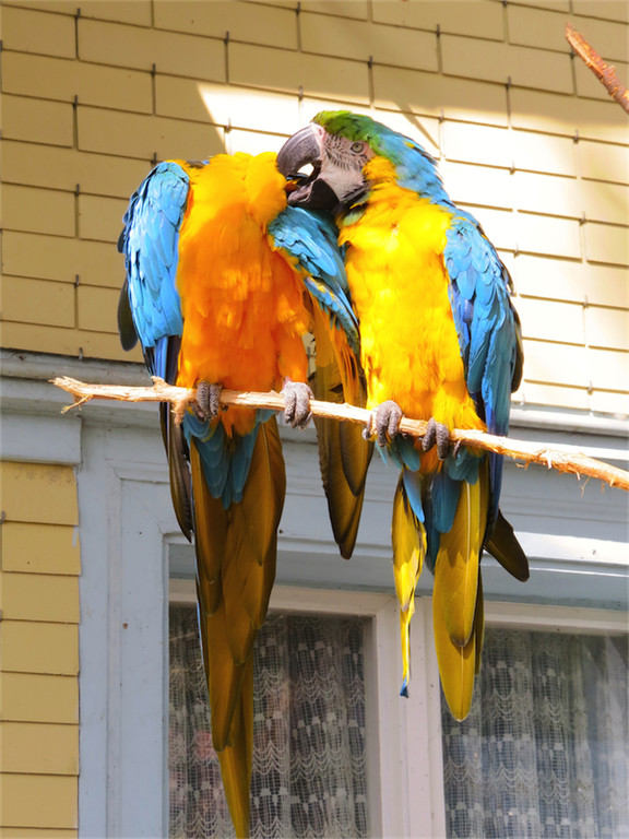 BK_Walter Zoo Gossau 2.jpg