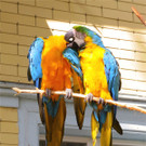 BK_Walter Zoo Gossau 2.jpg