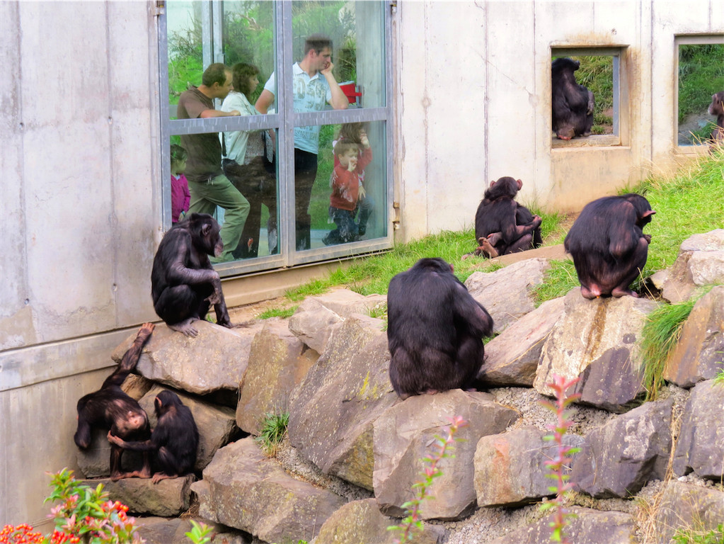 BK_Walter Zoo Gossau 10.JPG