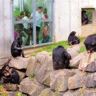 BK_Walter Zoo Gossau 10.JPG