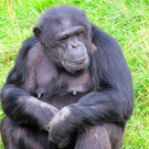 BK_Walter Zoo Gossau 13.jpg