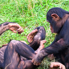 BK_Walter Zoo Gossau 14.JPG