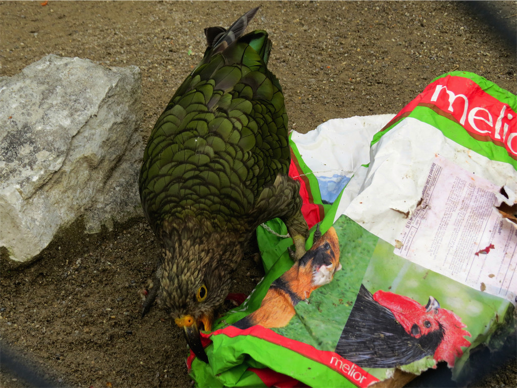 BK_Walter Zoo Gossau 21.JPG