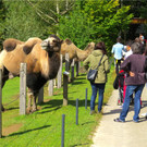 BK_Walter Zoo Gossau 28.JPG