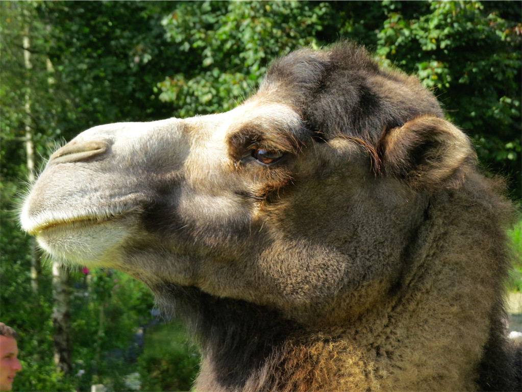 BK_Walter Zoo Gossau 31.JPG