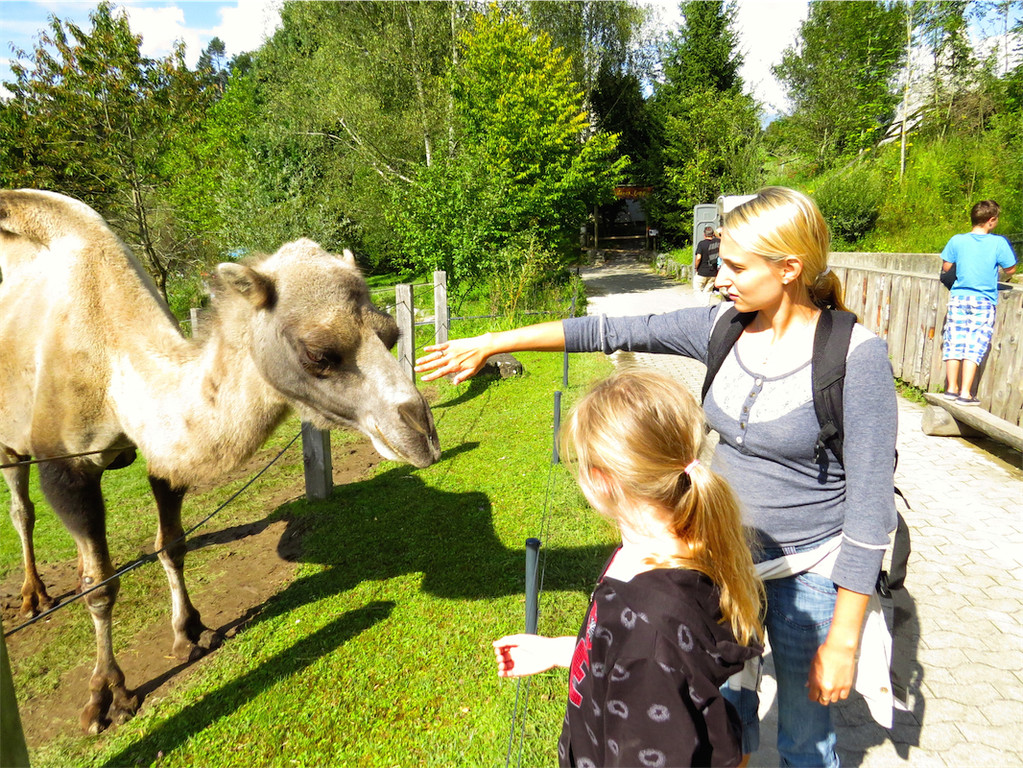 BK_Walter Zoo Gossau 37.JPG