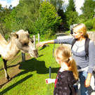 BK_Walter Zoo Gossau 37.JPG