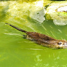 BK_Walter Zoo Gossau 44.JPG