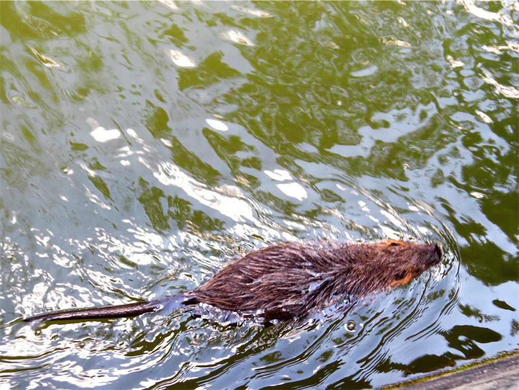 BK_Walter Zoo Gossau 46.JPG