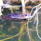 BK_Walter Zoo Gossau 48.JPG