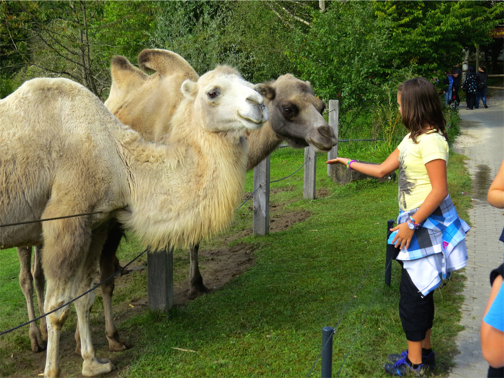 BK_Walter Zoo Gossau 50.JPG