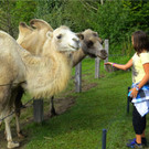 BK_Walter Zoo Gossau 50.JPG