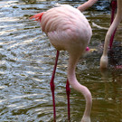 BK_Walter Zoo Gossau 53.jpg