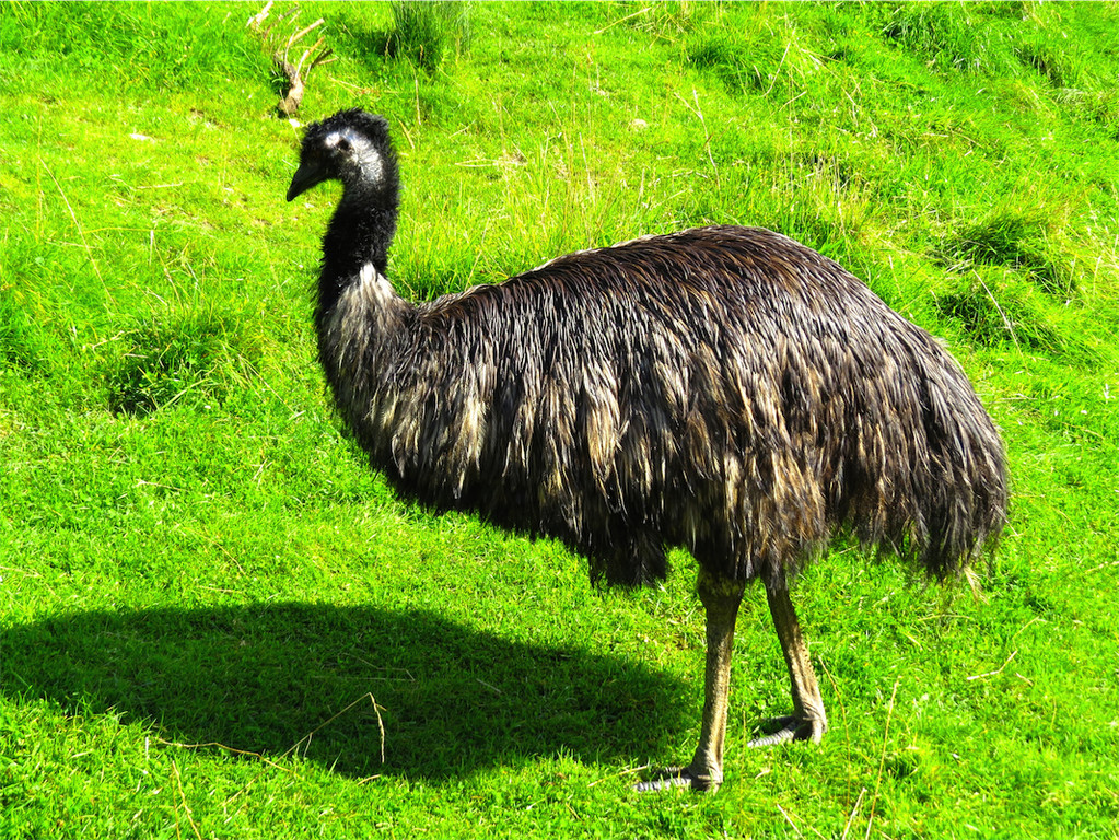 BK_Walter Zoo Gossau 58.JPG