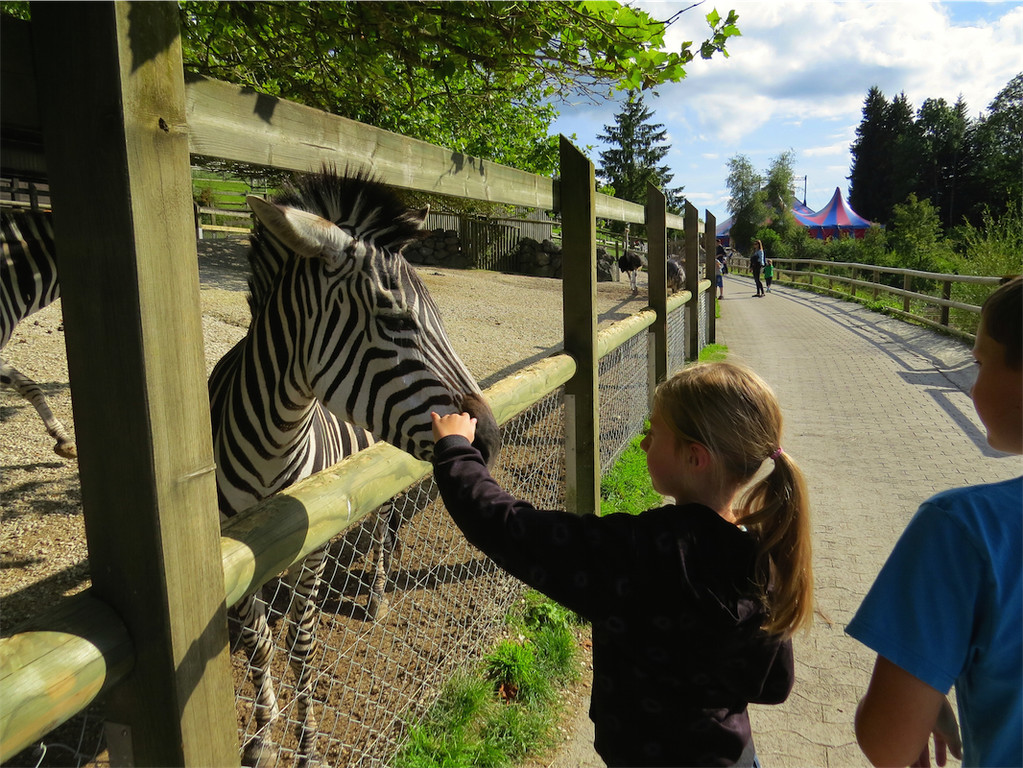 BK_Walter Zoo Gossau 66.JPG