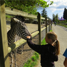 BK_Walter Zoo Gossau 66.JPG