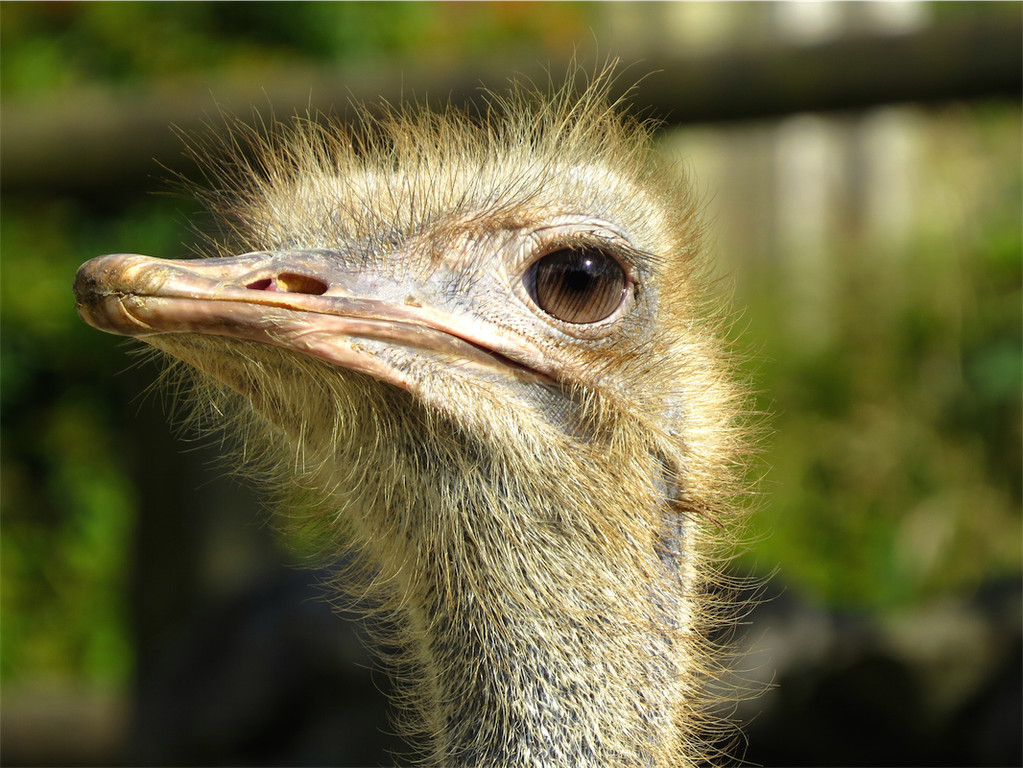 BK_Walter Zoo Gossau 72.JPG