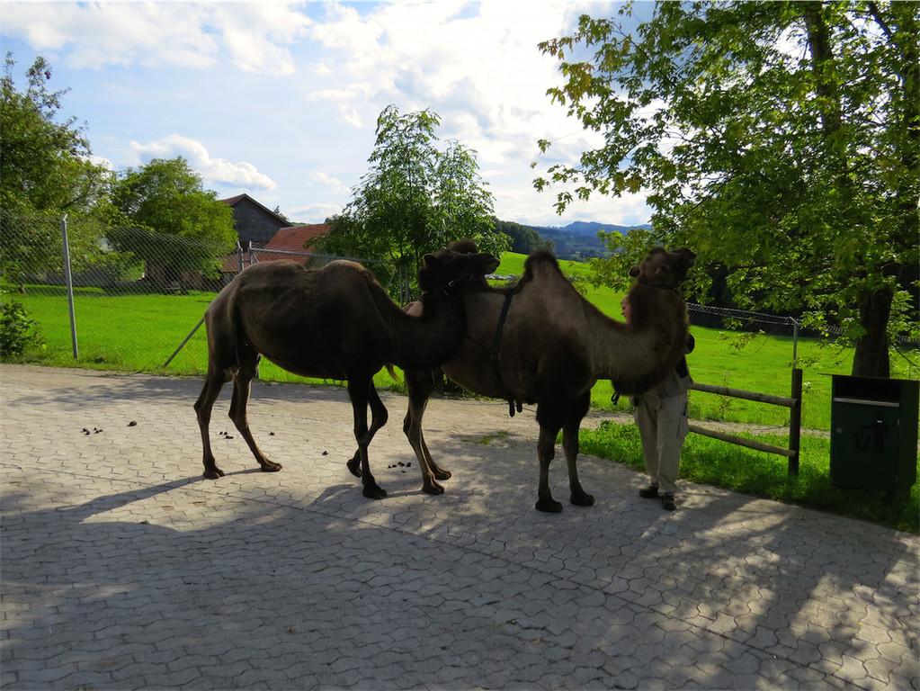 BK_Walter Zoo Gossau 76.JPG