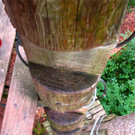 BK_Gontenbad_Jakobsbad 119.jpg