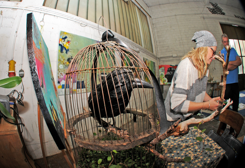 Bazart 31-08-2014 15.jpg