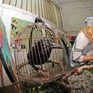 Bazart 31-08-2014 15.jpg