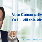 kitten1.jpg